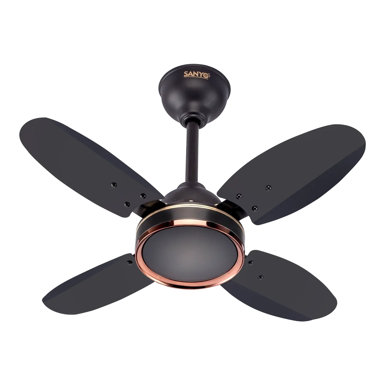 Vangelo Ploton Quad in Espresso Brown — angled view